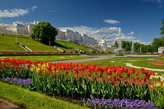 Spring in Peterhof museum, St. Petersburg, Russia, photo 6