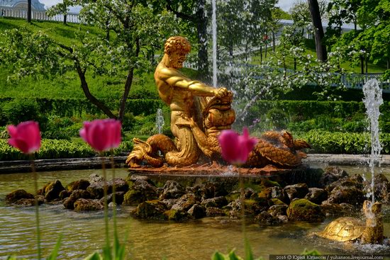 Spring in Peterhof museum, St. Petersburg, Russia, photo 7