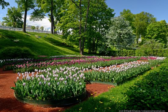 Spring in Peterhof museum, St. Petersburg, Russia, photo 8