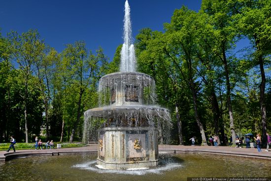 Spring in Peterhof museum, St. Petersburg, Russia, photo 9