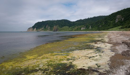 Cape Stolbchaty, Kunashir Island, Russia, photo 2