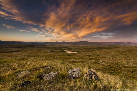 Plateau Ukok, Altai Republic, Russia, photo 15