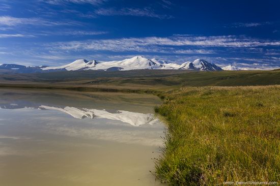 Plateau Ukok, Altai Republic, Russia, photo 2