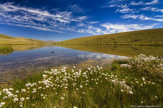 Plateau Ukok, Altai Republic, Russia, photo 3