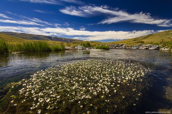 Plateau Ukok, Altai Republic, Russia, photo 4