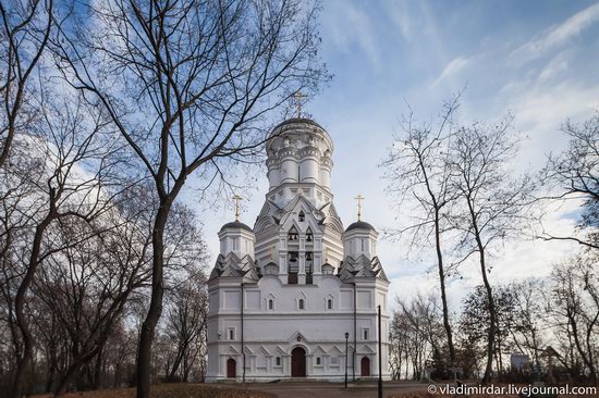 Church of John the Baptist, Dyakovo, Russia, photo 15