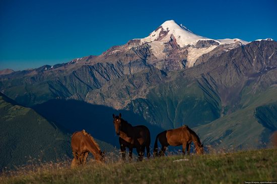 Climbing Stolovaya Mountain, Caucasus, Russia, photo 2