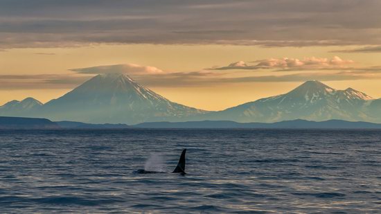 The eastern coast of Kamchatka, Russia, photo 10