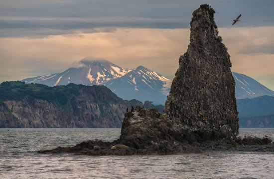 The eastern coast of Kamchatka, Russia, photo 12