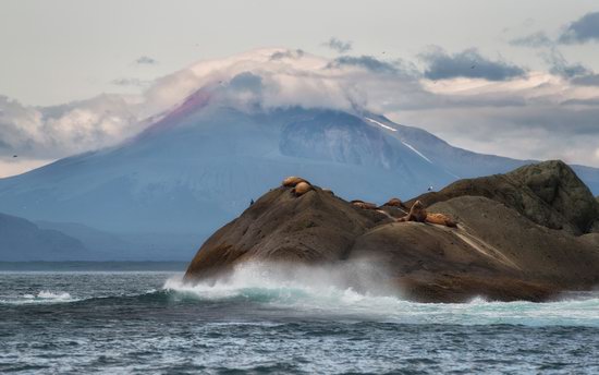 The eastern coast of Kamchatka, Russia, photo 14