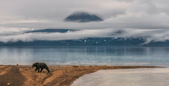 The eastern coast of Kamchatka, Russia, photo 15