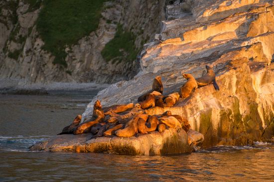 The eastern coast of Kamchatka, Russia, photo 6