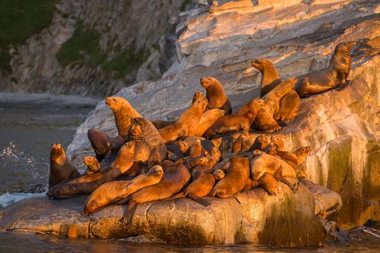 The eastern coast of Kamchatka, Russia, photo 7