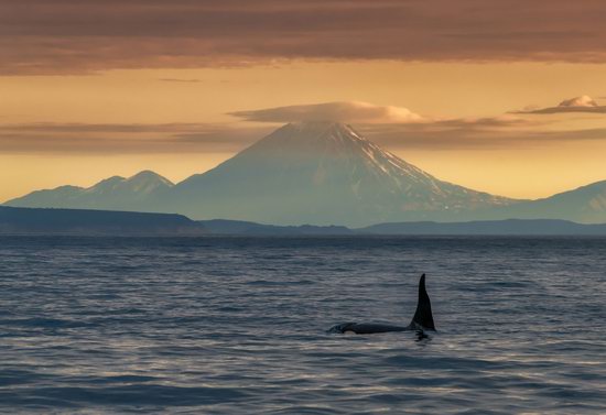 The eastern coast of Kamchatka, Russia, photo 9