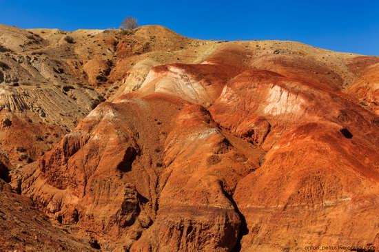 Martian landscapes, Altai, Russia, photo 8