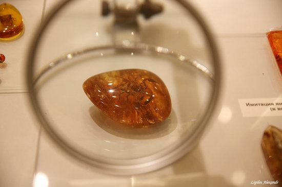 Amber Museum in Kaliningrad, Russia, photo 20