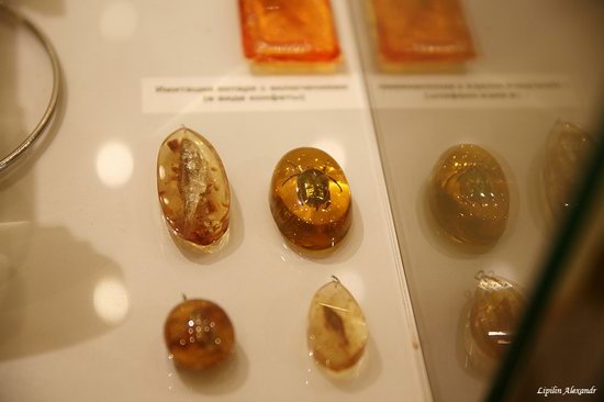 Amber Museum in Kaliningrad, Russia, photo 21