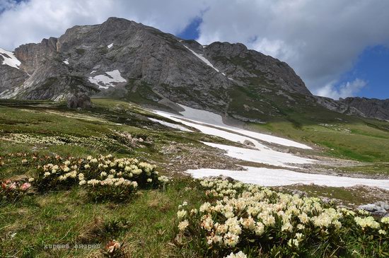 Lago-Naki Plateau, Caucasus, Russia, photo 15