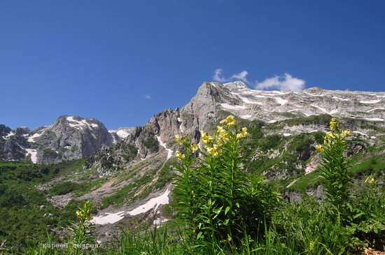 Lago-Naki Plateau, Caucasus, Russia, photo 19