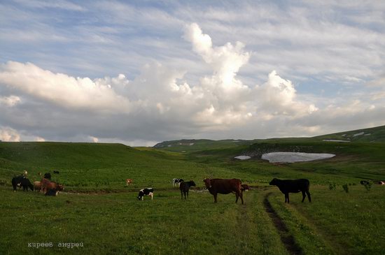 Lago-Naki Plateau, Caucasus, Russia, photo 25