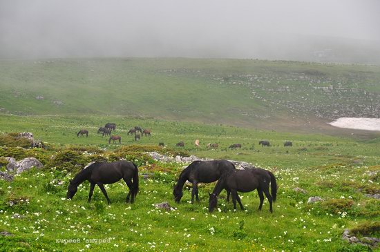 Lago-Naki Plateau, Caucasus, Russia, photo 3