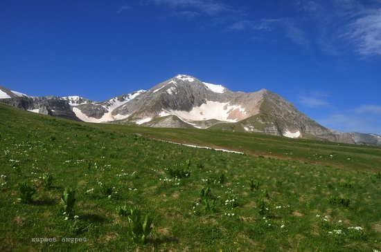 Lago-Naki Plateau, Caucasus, Russia, photo 5