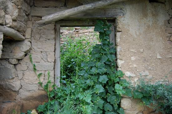 Abandoned Gamsutl village, Dagestan, Russia, photo 28