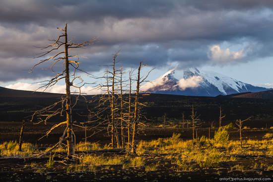 The lava fields of Tolbachik, Kamchatka, Russia, photo 11