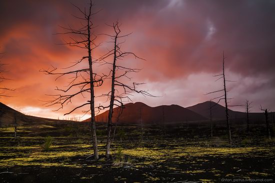 The lava fields of Tolbachik, Kamchatka, Russia, photo 13