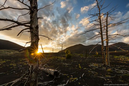 The lava fields of Tolbachik, Kamchatka, Russia, photo 8