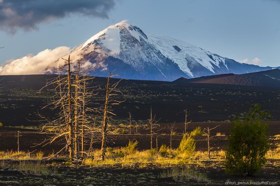 The lava fields of Tolbachik, Kamchatka, Russia, photo 9