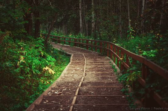 State Nature Reserve Stolby, Krasnoyarsk, Russia, photo 3