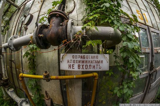 Abandoned greenhouse complex near Moscow, Russia, photo 1