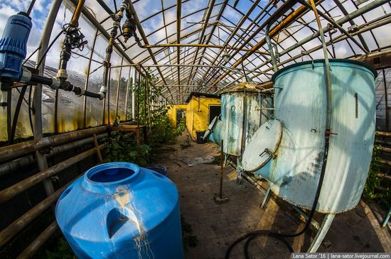 Abandoned greenhouse complex near Moscow, Russia, photo 12