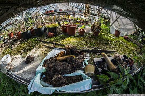 Abandoned greenhouse complex near Moscow, Russia, photo 13