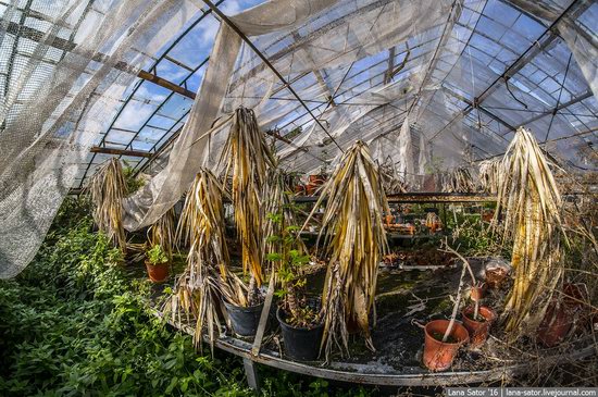 Abandoned greenhouse complex near Moscow, Russia, photo 14