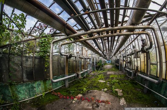 Abandoned greenhouse complex near Moscow, Russia, photo 15