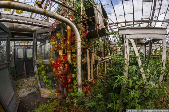 Abandoned greenhouse complex near Moscow, Russia, photo 16