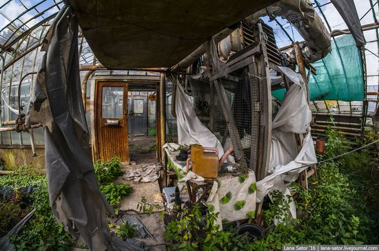 Abandoned greenhouse complex near Moscow, Russia, photo 17