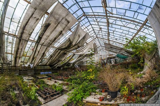 Abandoned greenhouse complex near Moscow, Russia, photo 18