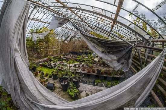 Abandoned greenhouse complex near Moscow, Russia, photo 19