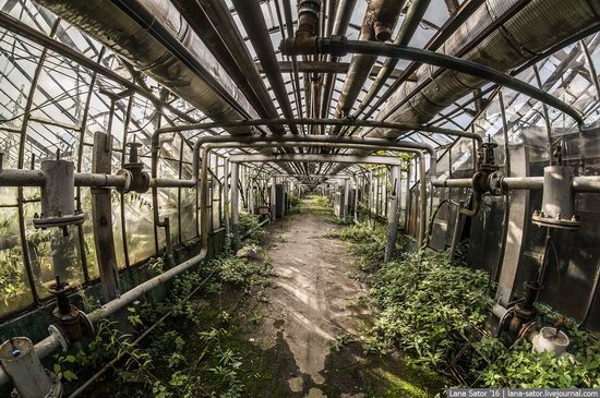 Abandoned greenhouse complex near Moscow, Russia, photo 2