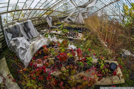 Abandoned greenhouse complex near Moscow, Russia, photo 21