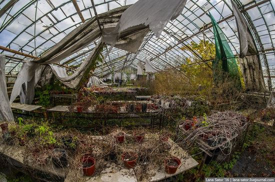 Abandoned greenhouse complex near Moscow, Russia, photo 22