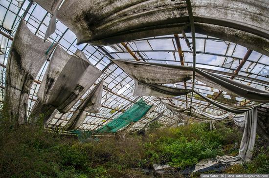 Abandoned greenhouse complex near Moscow, Russia, photo 23