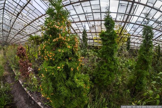 Abandoned greenhouse complex near Moscow, Russia, photo 24