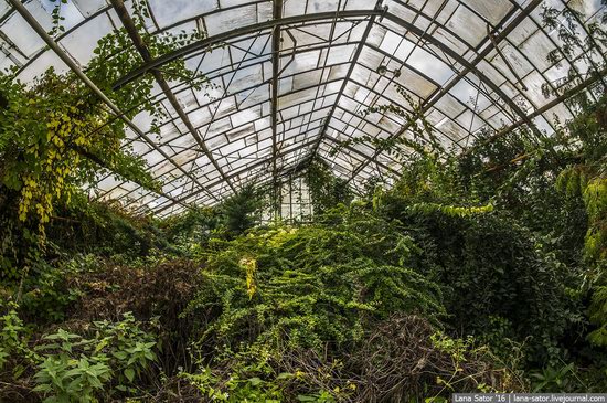 Abandoned greenhouse complex near Moscow, Russia, photo 25