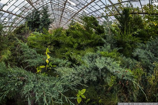 Abandoned greenhouse complex near Moscow, Russia, photo 26