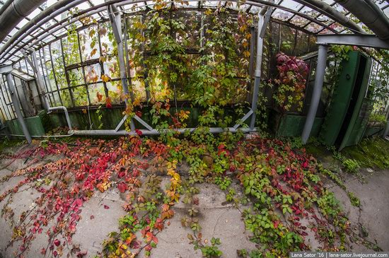 Abandoned greenhouse complex near Moscow, Russia, photo 27