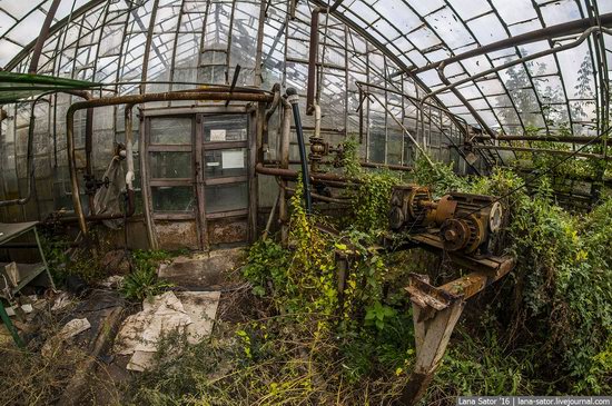 Abandoned greenhouse complex near Moscow, Russia, photo 28